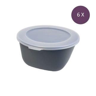 6 boîtes avec couvercle 1 litre